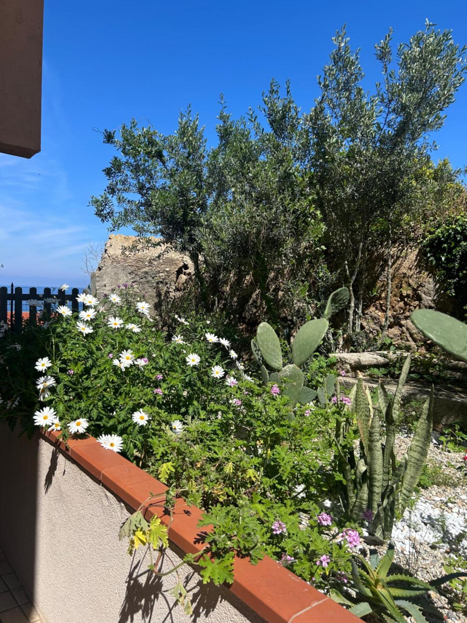Bed and Breakfast Arcobaleno Tropea Centro Exteriér fotografie